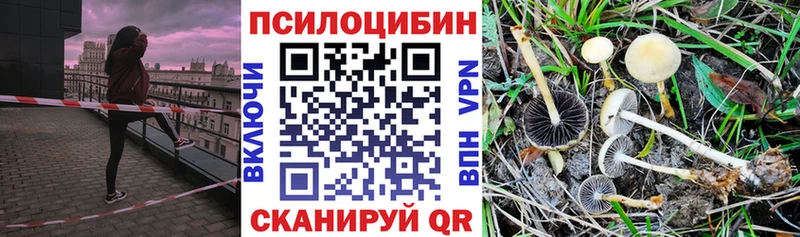 Псилоцибиновые грибы Magic Shrooms  Купить где  Сосновоборск 