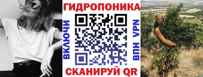 Марихуана OG Kush Сосновоборск
